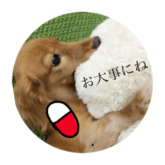 yurina_20190618120043