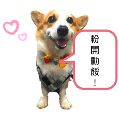 魯夫的life. style