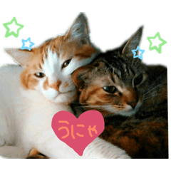 Cat sister and brother (Cat sticker)