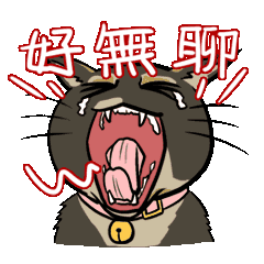 Miko & Kola的貓生活：動態版