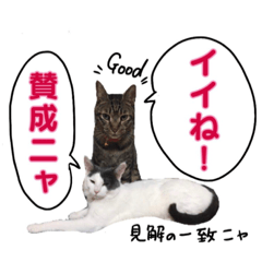 midori_20190618172812