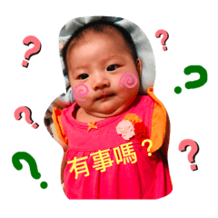 小綿羊的世界