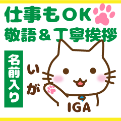 IGA:Polite greetings.Animal Cat