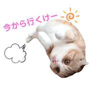 TEN_20190618201426
