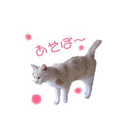 HYC_201906161115
