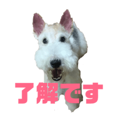Annezu