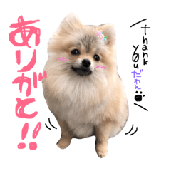 minami_20190618175901
