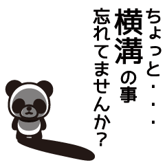 Yokomizo Panda Sticker