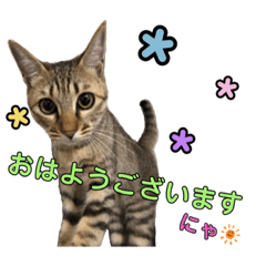 marina_20190617224216