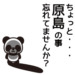 Harashima Panda Sticker