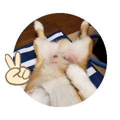 ken_20190618130412