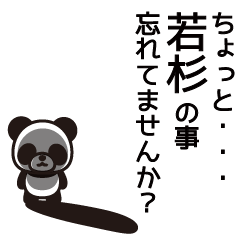 Wakasugi Panda Sticker