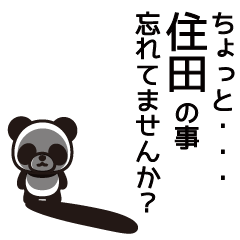 Sumida Panda Sticker