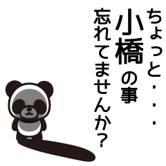 Kobashi Panda Sticker