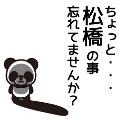 Matsubashi Panda Sticker
