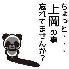 Kamioka Panda Sticker