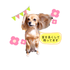 purin_20190618204833