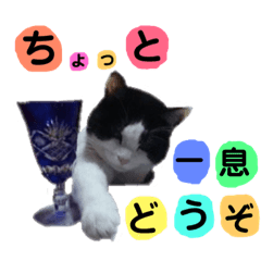 Gucci san ti no nyanko