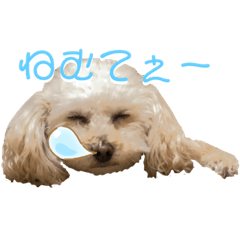 YK_20190618235114