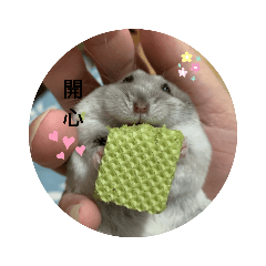 可愛鼠寶寶用語