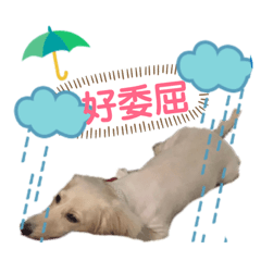 可愛花生米