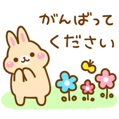 Mofukoro Rabbit2