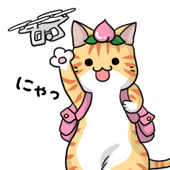 Cat with Drone!