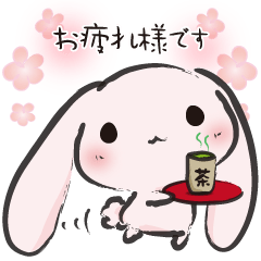 Sakura Rabbit - Everyday -