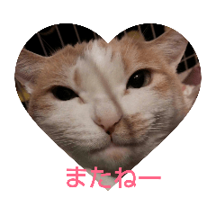 saya_20190619181149