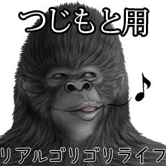 25 ゴリラ 面白い 画像 最高のhd壁紙画像 25 ゴリラ 面白い 画像 最高のhd壁紙画像