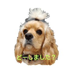 Azu_20190619162357