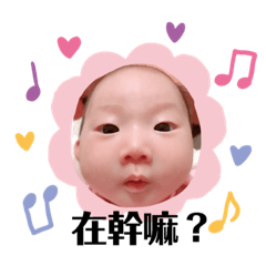 滴寶Dibo