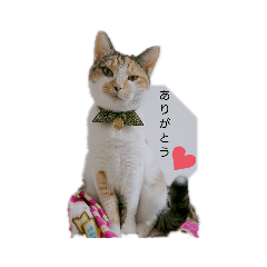 kaede_20190619072557