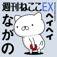 Move "NAGANO" name sticker