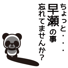 Hayase Panda Sticker