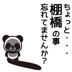 Tanahashi Panda Sticker