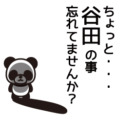 Tanida Panda Sticker