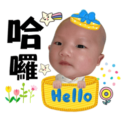 小頷寶