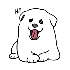 Kuma (The doggy jp spitz)