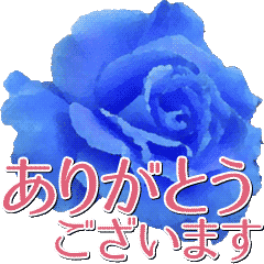 Blue Roses 2 Line Stickers Line Store