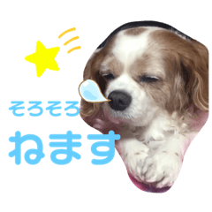 chi_201906201615263