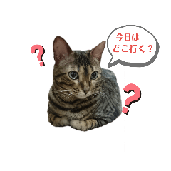 ikumi_20190620173540