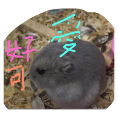 飯糰和海苔