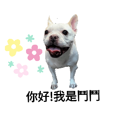 BullDog "DouDou" Sticker