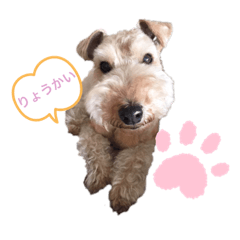 CHIE_20190621111236