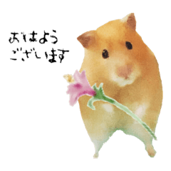 お花ところも