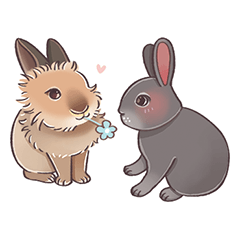 芝麻＆麻糬 懶兔子的日常對話