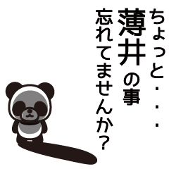 Usui Panda Sticker
