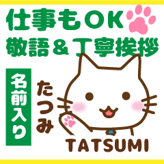 TATSUMI:Polite greetings.Animal Cat