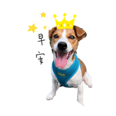 好吃的餅乾